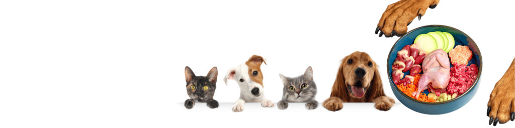 Hundefutter in Lebensmittelqualität